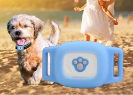 איתוראן לבעלי חיים, כלב, חתול , מבוסס GPS וסלולאר